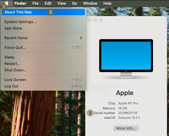 Screen shot showing three steps to view the serial number.